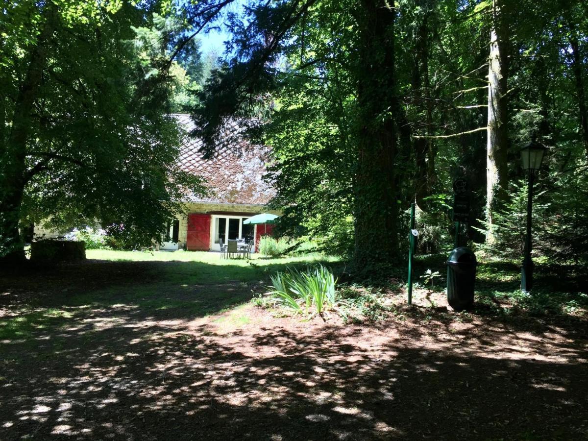 Gites Chateau Le Bois Saint-Julien-aux-Bois Bagian luar foto